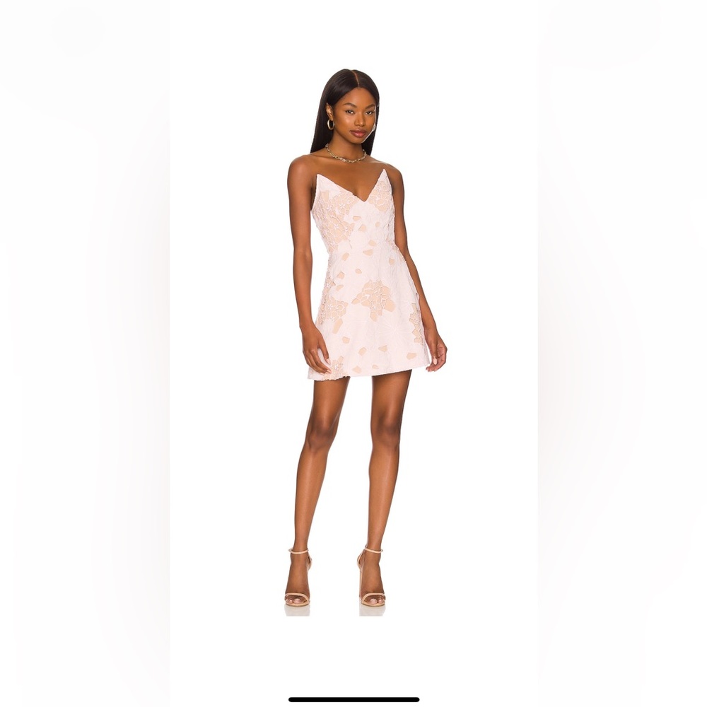 Revolve Mini dress